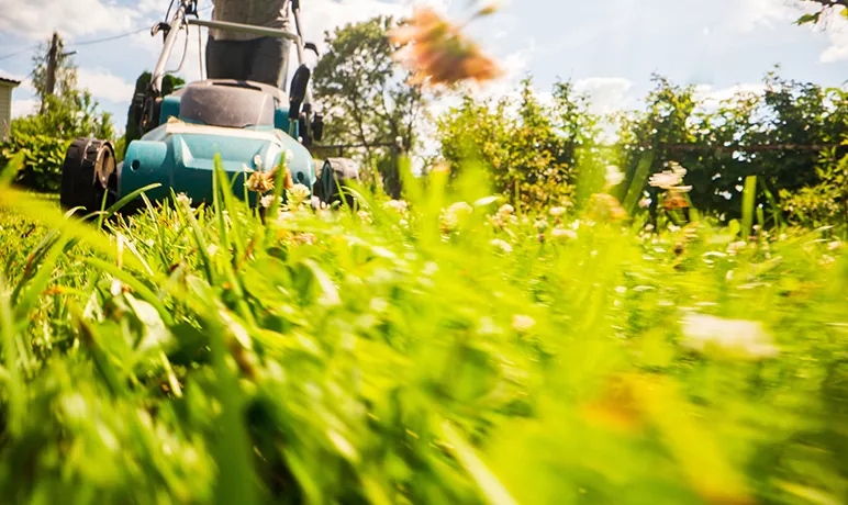 Collecte des déchets végétaux 2026 : ouverture des inscriptions 🌿