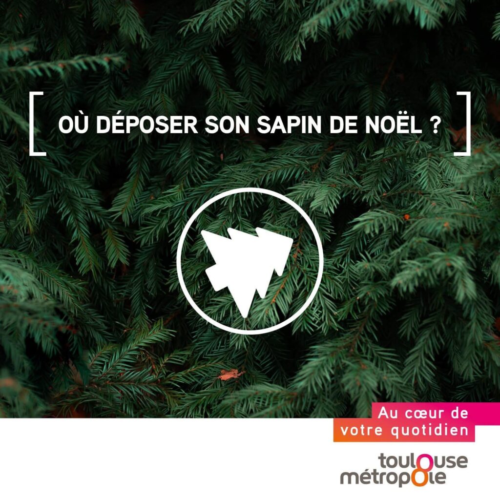 Le sapin commence à piquer, les aiguilles tombent… Déjà fini Noël !Pour lui offrir une reconversion utile, deux parcs à sapins sont à votre disposition.