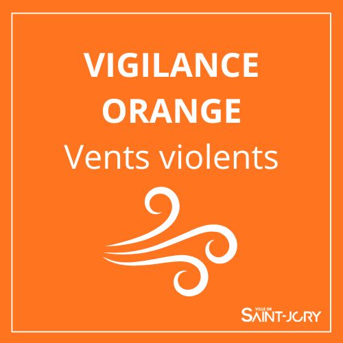 La Haute-Garonne est placée en vigilance orange vents violents pour la nuit du mercredi 11 février au jeudi 12 février, avec un risque de chutes d'arbres.