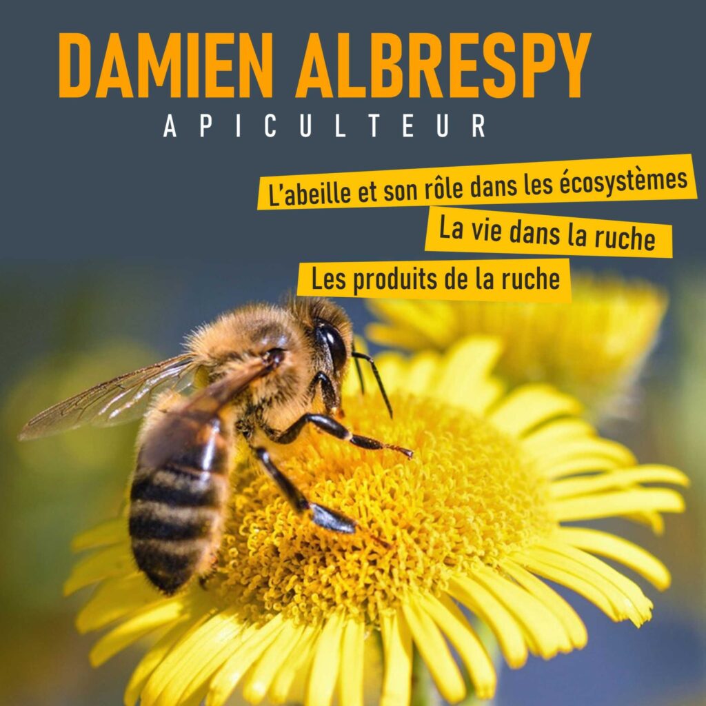 L'apiculteur Damien Albrespy, fondateur de la startup Beesolis, est l'invité de la Maison de la Culture avec sa conférence :